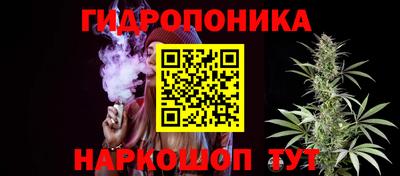 прущие грибы Малгобек
